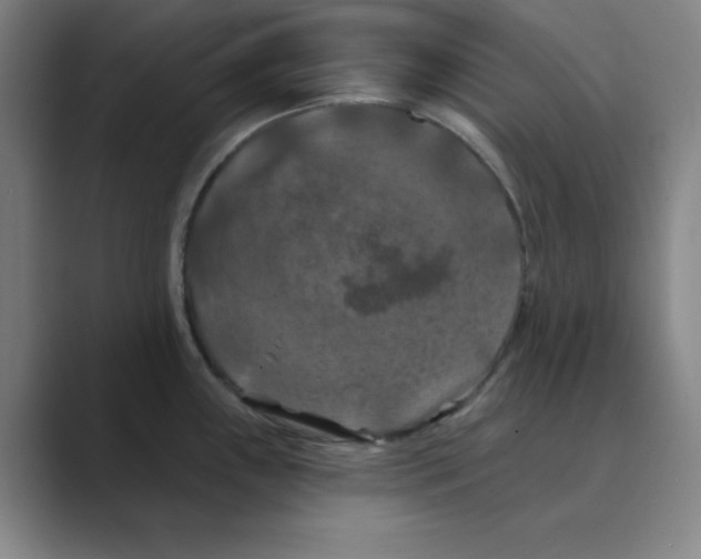 X0000088691243200706281956