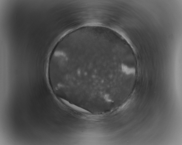X0000088691245200706281956