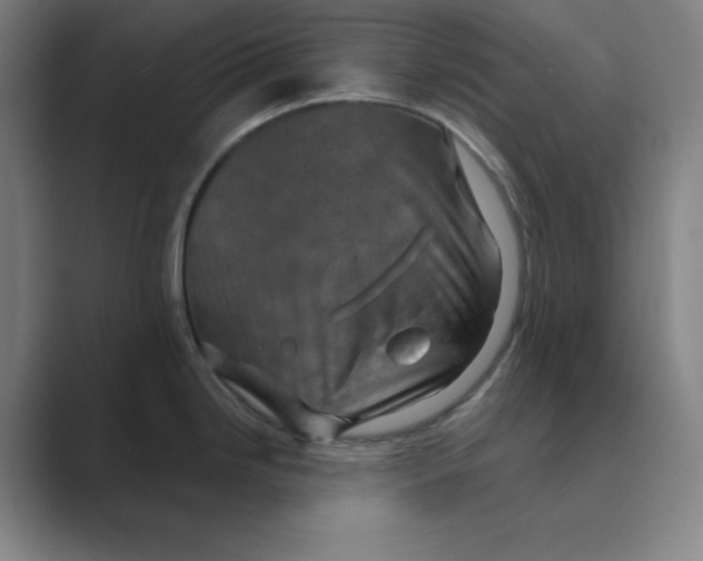 X0000088691246200706281956