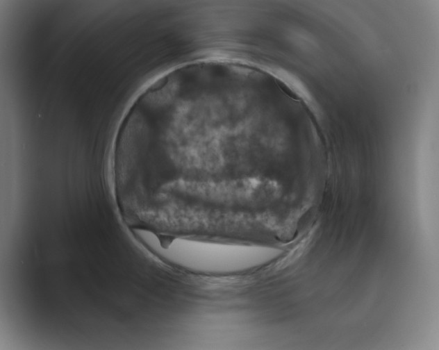 X0000088691247200706281956