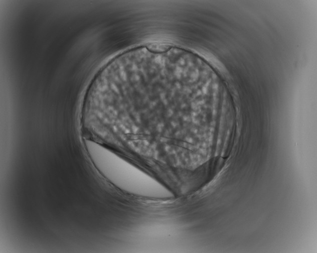 X0000088691248200706281956