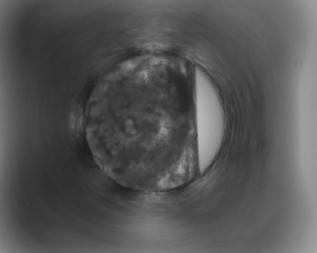 X0000088691251200706281955