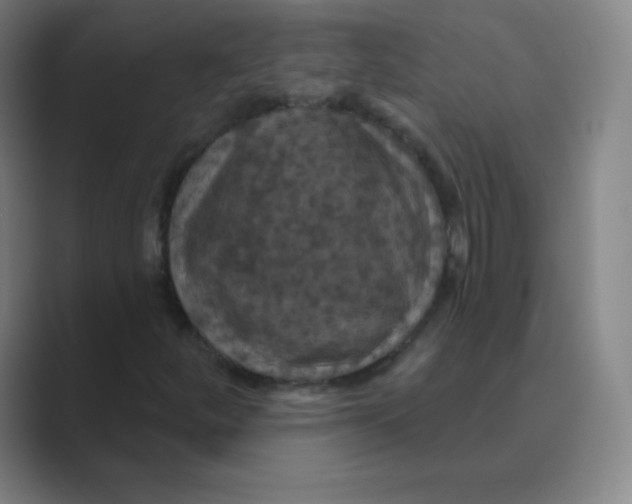 X0000088691252200706281955