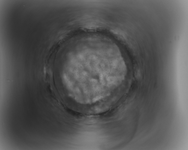 X0000088691253200706281955