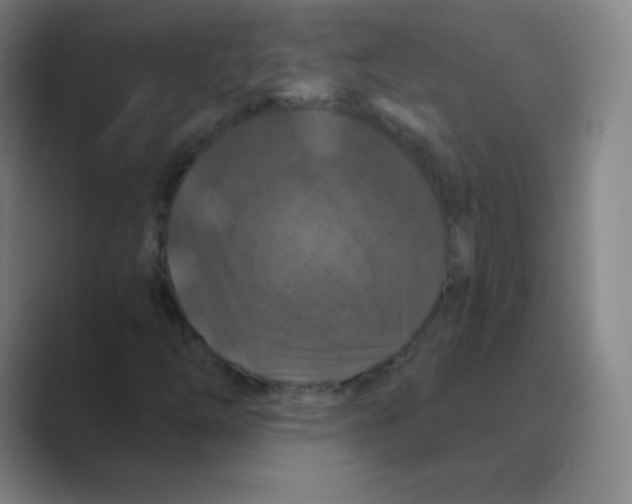 X0000088691254200706281955