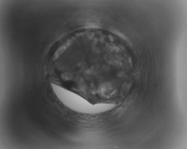 X0000088691255200706281955