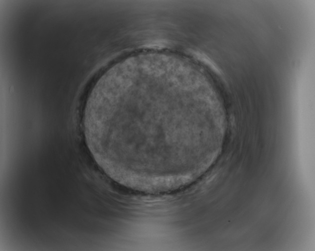 X0000088691256200706281955