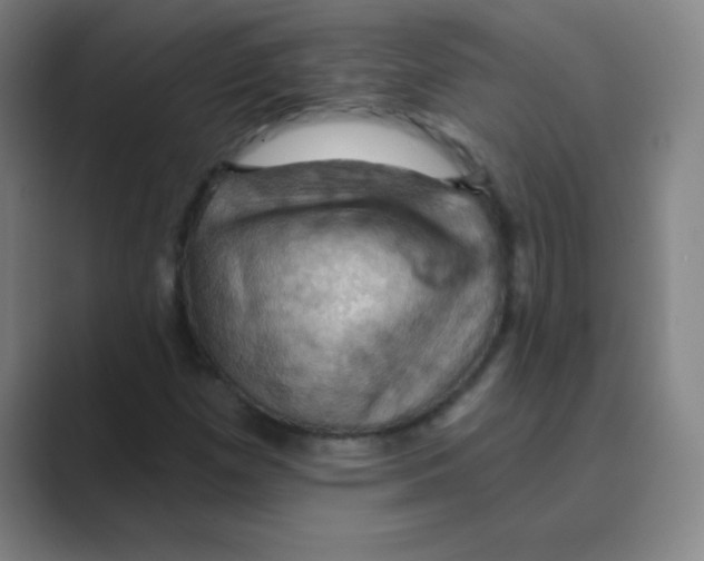 X0000088691257200706281955
