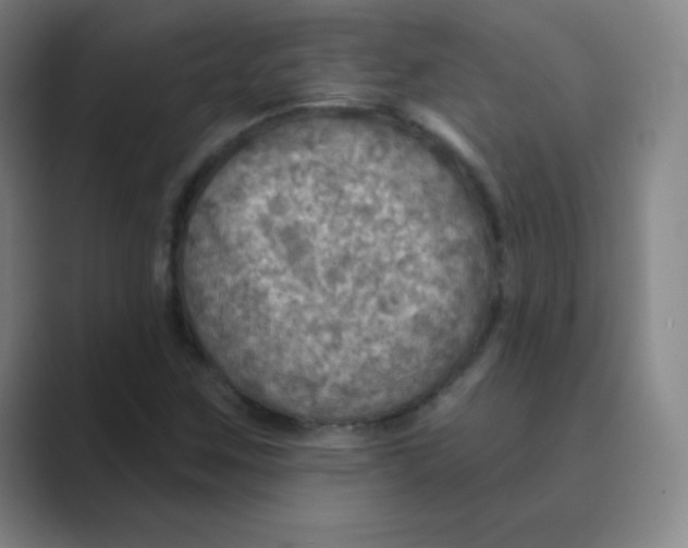 X0000088691259200706281955