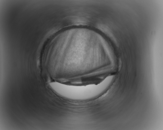 X0000088691261200706281955