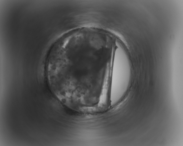 X0000088691263200706281955