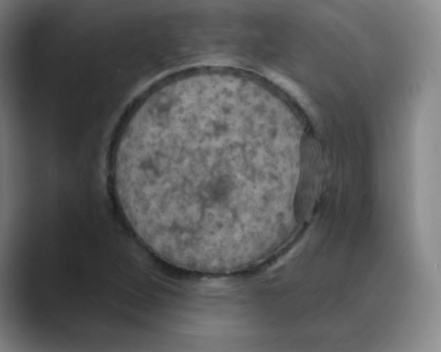 X0000088691264200706281955