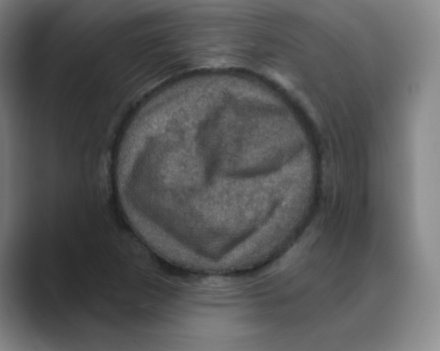 X0000088691265200706281955