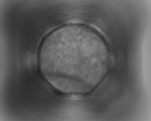 X0000088691266200706281955