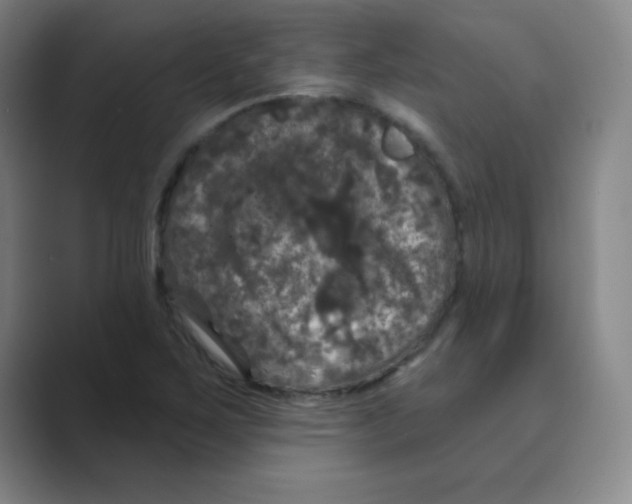 X0000088691267200706281955