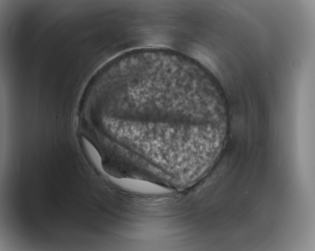X0000088691268200706281955