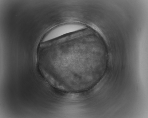 X0000088691269200706281955