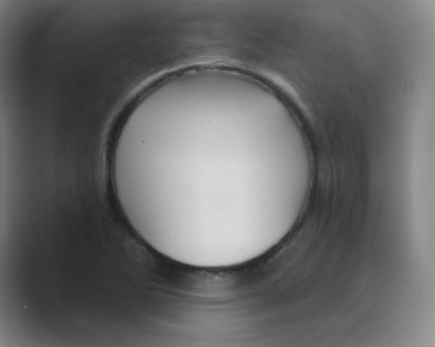 X0000088691270200706281955