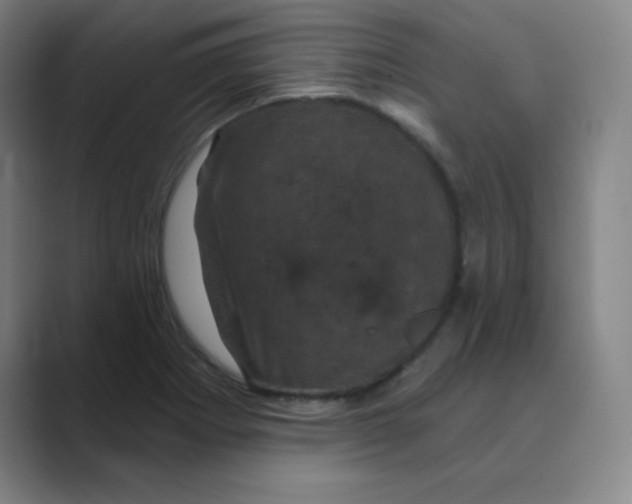 X0000088691273200706281955