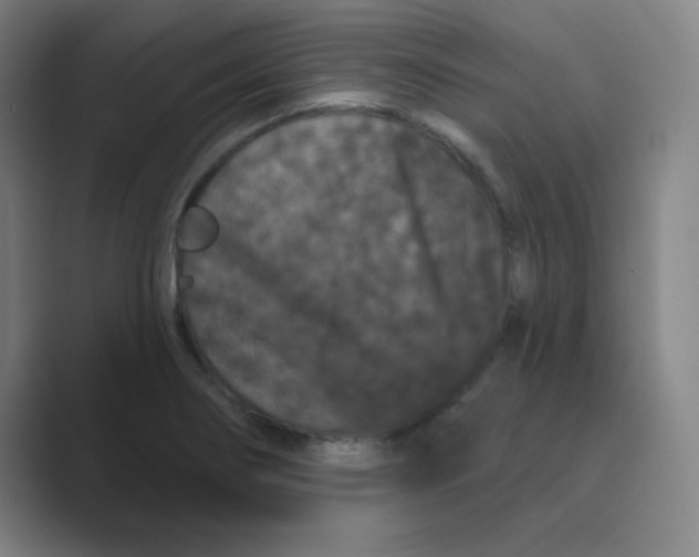 X0000088691274200706281955
