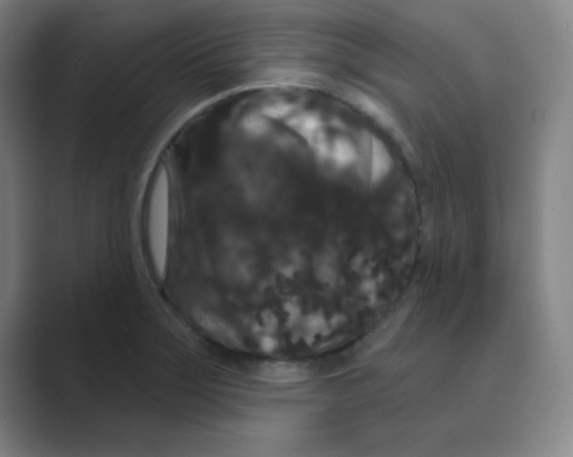 X0000088691275200706281955