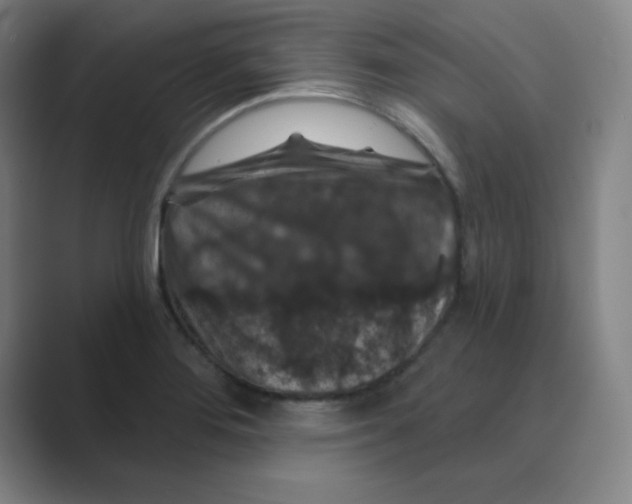 X0000088691276200706281955