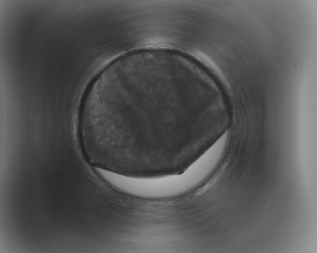 X0000088691277200706281955
