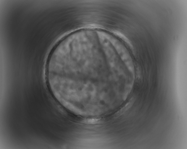 X0000088691278200706281955