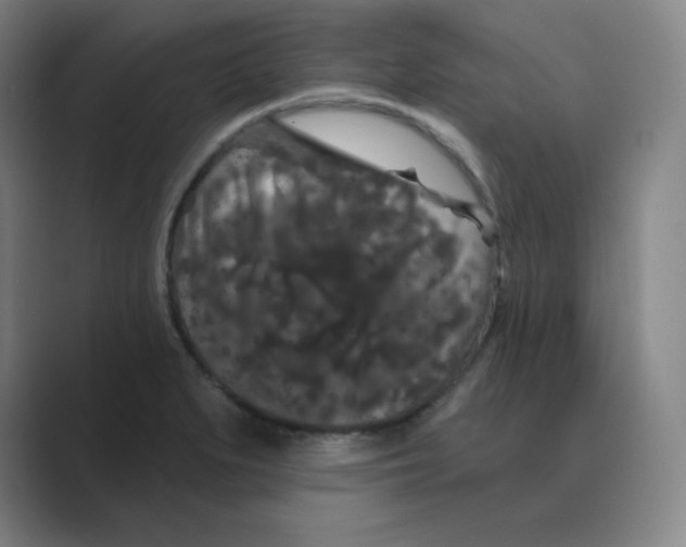 X0000088691279200706281955