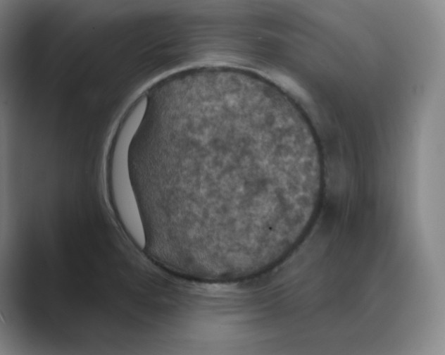 X0000088691280200706281955