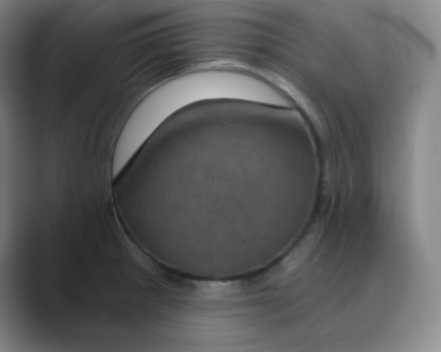 X0000088691281200706281955