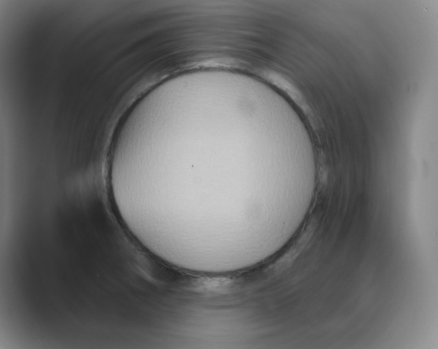X0000088691282200706281955