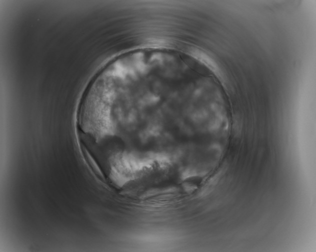 X0000088691283200706281955