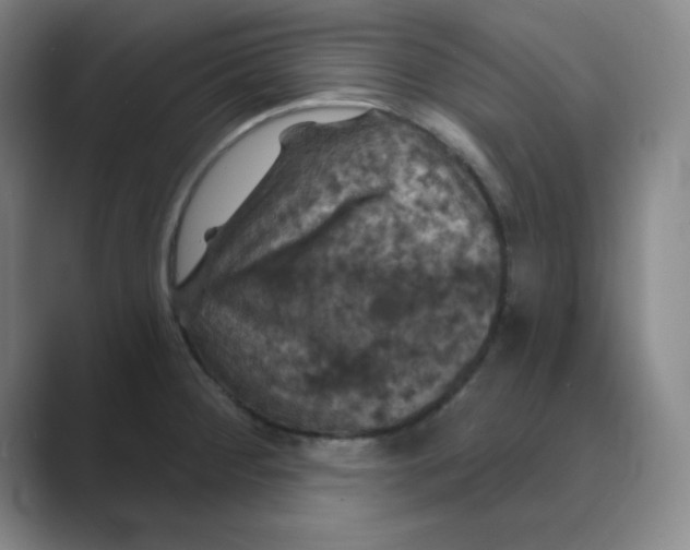 X0000088691284200706281955