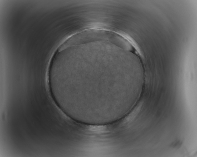 X0000088691285200706281955