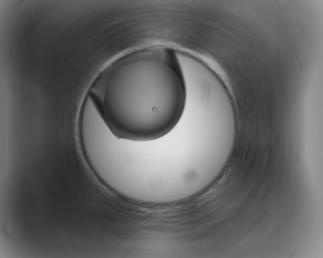 X0000088691287200706281955