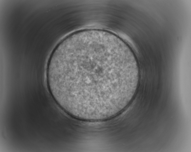 X0000088691288200706281955