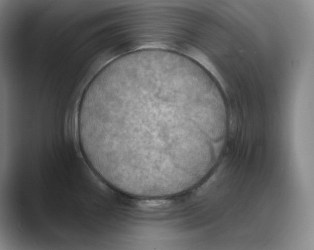 X0000088691290200706281955