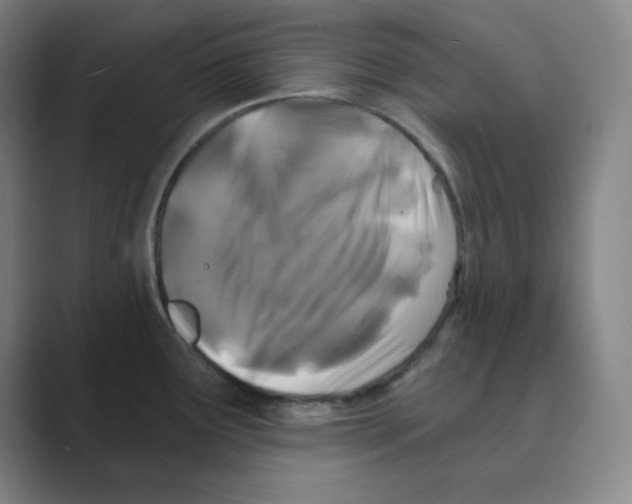 X0000088691291200706281955