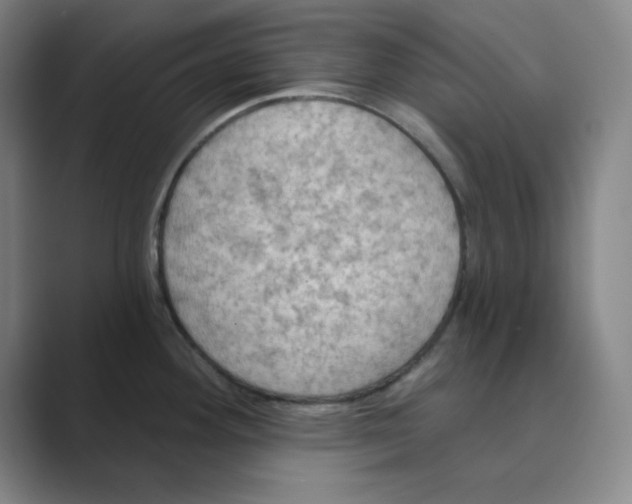 X0000088691292200706281955