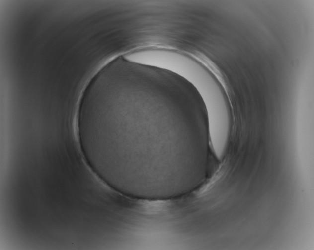 X0000088691293200706281955
