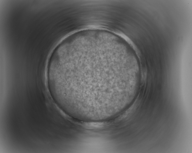 X0000088691294200706281955