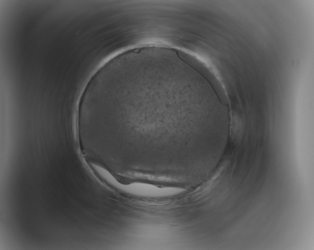 X0000088691295200706281955