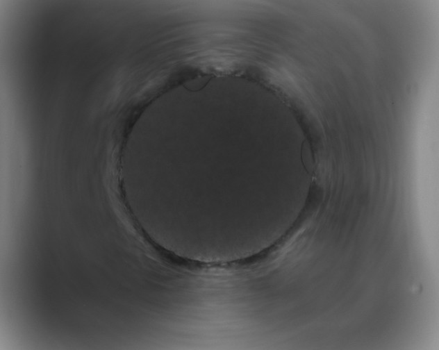 X0000088691297200706281954