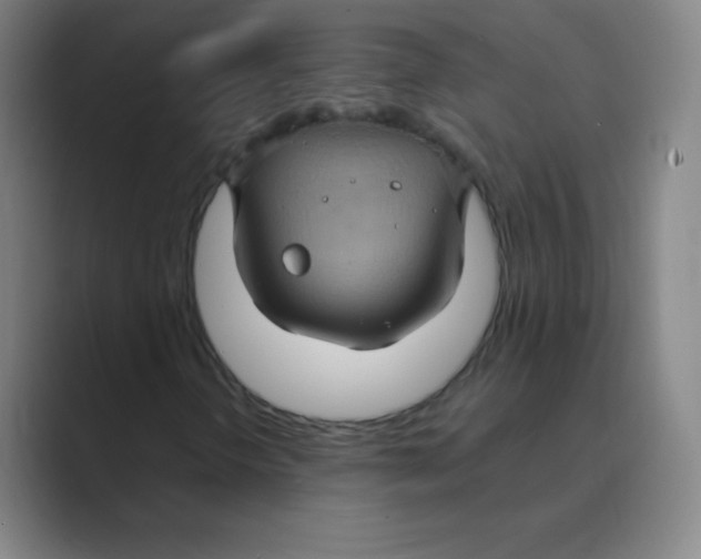 X0000088691298200706281954