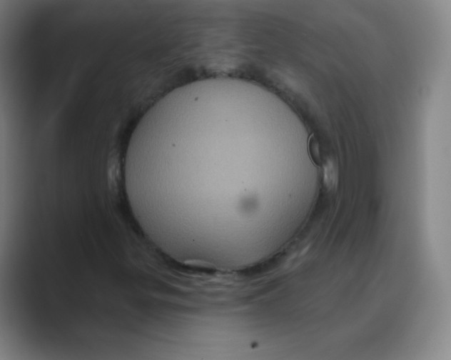 X0000088691299200706281954