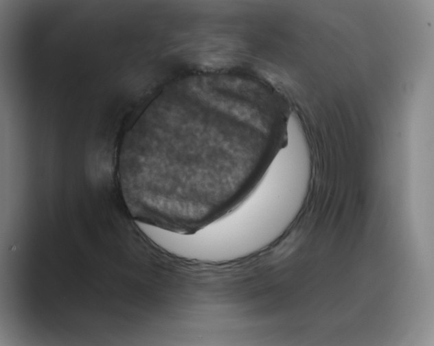 X0000088691300200706281954