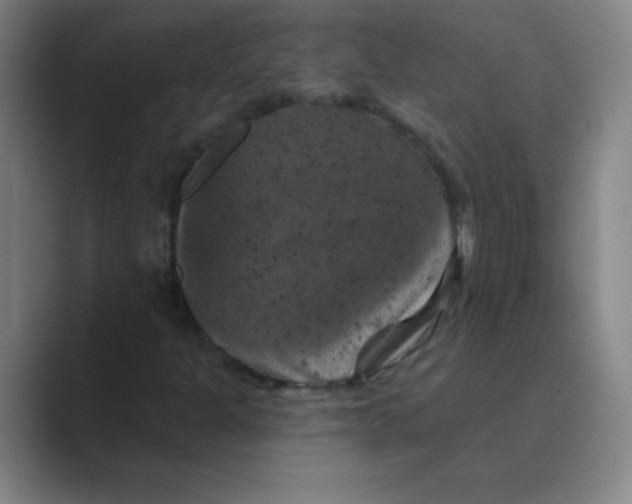 X0000088691301200706281954