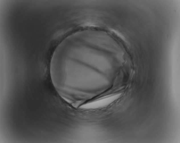 X0000088691303200706281954