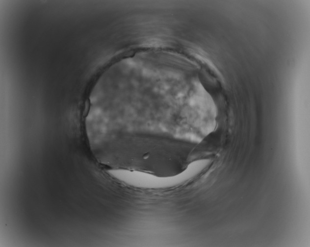 X0000088691304200706281954